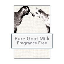 Beekman 1802 Pure Goat Milk Shampoo & Conditioner