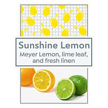 Beekman 1802 Supersize Sunshine Lemon Goat Milk Body Cream