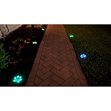 Bell + Howell Color-Changing and White Solar Paw Lights - 6-pack