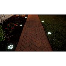 Bell + Howell Color-Changing and White Solar Paw Lights - 6-pack