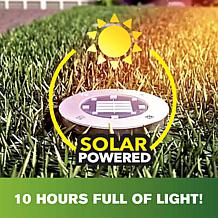 Bell + Howell Disk Lights Deluxe Solar Lights 8-pack