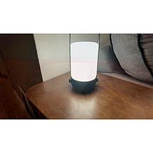 Bell+Howell by Design Metal Touch Lamps - Set of 2