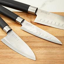 Berghoff DiNA Codon 3pc Stainless Steel Santoku Set