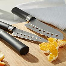 Berghoff DiNA Codon 5pc Stainless Steel Santoku Set