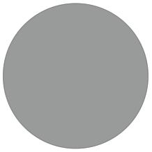 Beyond Paint® 16 fl. oz. Jar Metallic Paint