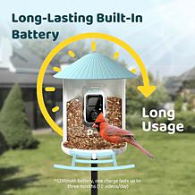 BIRDFY AI Auto Capture Motion Detection Solar Powered Bird Feeder