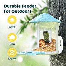 BIRDFY AI Auto Capture Motion Detection Solar Powered Bird Feeder