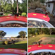 Birdfy Humme Extension Feeder