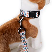 Carolina Pet Co Pendleton Falcon Cove Adventure Dog Collar
