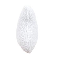 Carolina Pet Company Bone Pillow Toy - Large