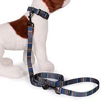 Carolina Pet Pendleton Olympic National Park Adventure Leash