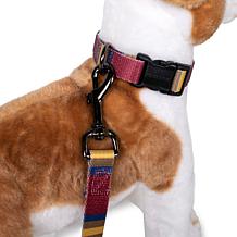 Carolina Pet Pendleton Zion National Park Adventure Dog Collar