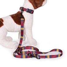 Carolina Pet Pendleton Zion National Park Adventure Leash