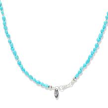 Chaco Canyon Turquoise Bead with Silver Horse Head Necklace