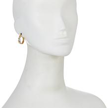 Charles Garnier 2-Tone CZ Braided Double Hoop Earrings