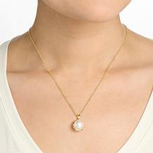 Connie Craig Carroll Jewelry 20" Cultured Mabé Pearl Drop Necklace