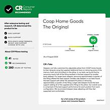 Coop Sleep Goods The Original Adjustable Queen Pillow