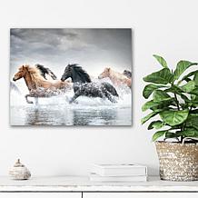 Courtside Market Horse Run V 20x24 Canvas Wall Art