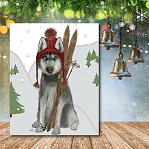 Courtside Market Skiing Siberian Husky 16x20 Canvas Wall Art