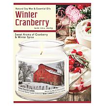 Courtside Market Snow at the Farm Infused Wax Candle with Silver Lid