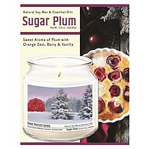 Courtside Market Tree Farm Wax Candle in Glass Jar with Silver Lid