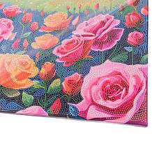 Craft Buddy Crystal Art Set of 2 Framed Canvas Kits