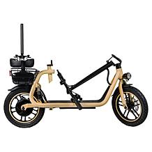 DeLorean 450W 36V Folding Seated E-Scooter w/Backrest & Accessories