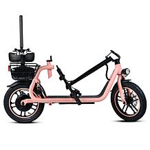 DeLorean 450W 36V Folding Seated E-Scooter w/Backrest & Accessories
