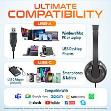 Delton 12Y Noise Isolating USB Computer Headset with Microphone