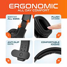 Delton 20x Professional Wireless Computer Headset