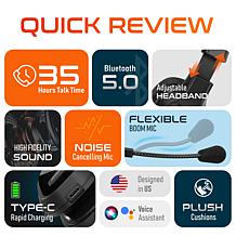 Delton 20x Professional Wireless Computer Headset
