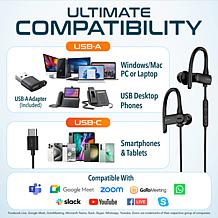 Delton 24EC USB/USB-C Computer Earbud Headset with Microphone