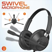 Delton 42Y Noise Canceling Binaural Computer Headset with Microphone