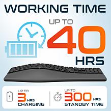 Delton KB250 Wireless Rechargeable Ergonomic Keyboard and Wrist Rest