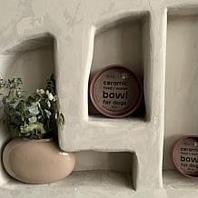 DexyPaws Blush Pink Ceramic Dog Bowl 26oz