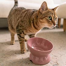 DexyPaws Elevated Ceramic Cat Bowl - Ash Blush 7oz