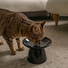 DexyPaws Flat Top Ceramic Cat Bowl - Black