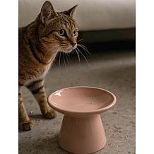 DexyPaws Flat Top Ceramic Cat Bowl - Blush Pink