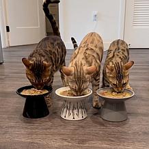 DexyPaws Flat Top Ceramic Cat Bowl - Grey