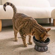 DexyPaws Iridescent Elevated Ceramic Cat Bowl - Grey 7oz