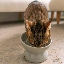 DexyPaws Iridescent Elevated Ceramic Cat Bowl - Grey 7oz