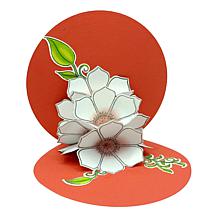 Diamond Press Heart Flowers Stamp and Die Pop-Up Card Kit