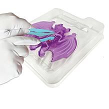 Dissect It Bat Lab  Synthetic Dissection Kit
