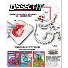 Dissect It Salamander Lab Synthetic Dissection Kit