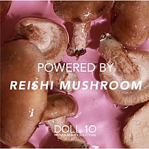 Doll 10 Mushroom Magic Foundation and Concealer 4-piece Collection