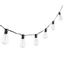 Dorcia 10-Light Black Outdoor String Light 120"