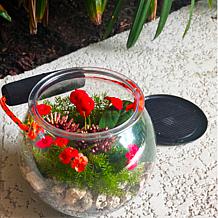 Drybranch Sports Design Catch and Release Beach Aquarium