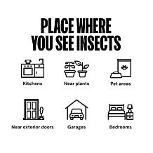 Dynatrap Fly Light with 4 Glue Traps