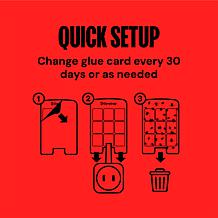 Dynatrap Fly Light with 4 Glue Traps