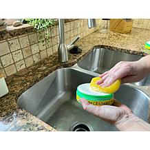 Earth Brite All-Purpose 600gm (21oz.) Cleaning Kit